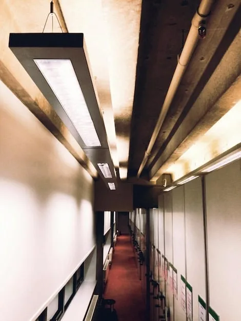 A well-lit office space using natural light combined with energy-efficient LED lighting fixtures, showcasing a bright and productive work environment.